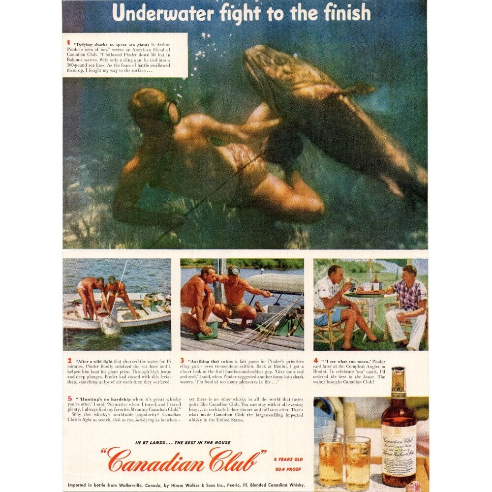 1951 Canadian Club Whiskey Spear Fishing Sea Bass Bahamas Vintage Print Ad Art